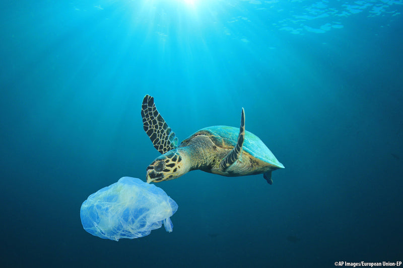 Greenpeace - Plastic reducing campaign